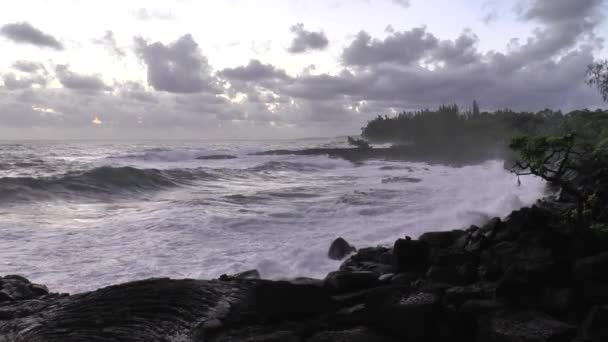 Sabah Bir Büyük Ada Hawaii Abd Pasifik Kıyısında — Stok video