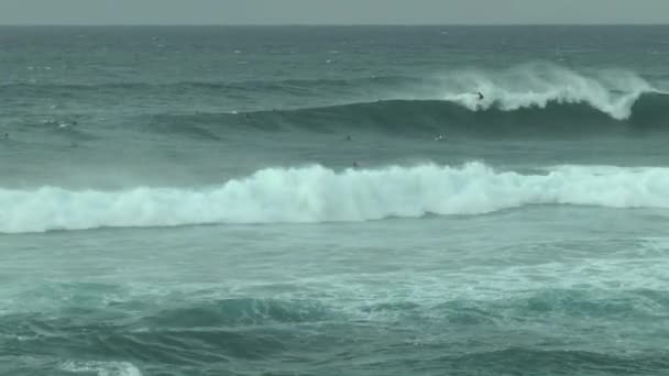 Surfistas Las Enormes Olas Del Pacífico Frente Costa Isla Hawaiana — Vídeo de stock