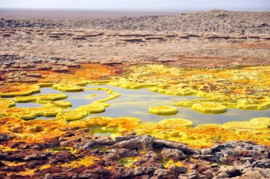 Volkan Dallol (Etiyopya şaşırtıcı fumaroles)