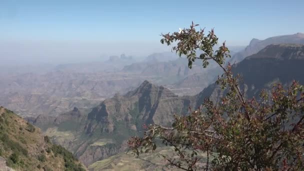 Národní Park Simien Etiopie — Stock video