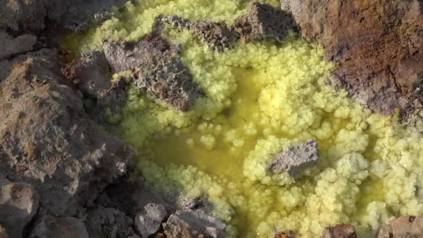 Underbara Platser Planeten Jorden Desert Danakil Etiopien — Stockvideo