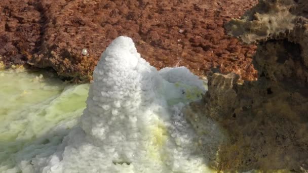 Lugares Maravillosos Del Planeta Tierra Desierto Danakil Etiopía — Vídeo de stock