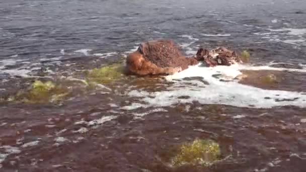 Glycerin Jezero Poušť Danakil Etiopie — Stock video