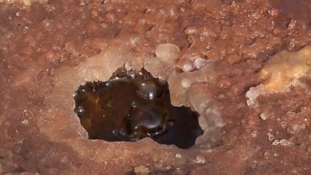 Lago Glicerina Deserto Danakil Etiópia — Vídeo de Stock