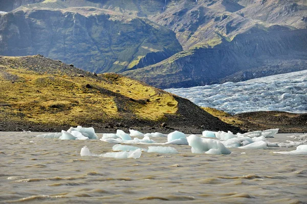 アイスランド 手配の氷山 — ストック写真
