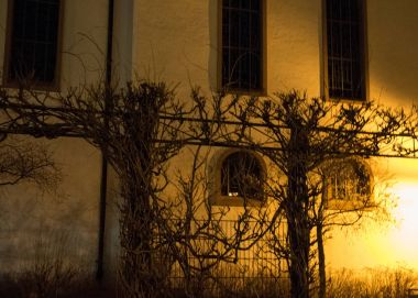 Sarmaşık bitki Sulzbach Kilisesi önünde