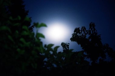 dolunayda yıldızlı açık gökyüzü