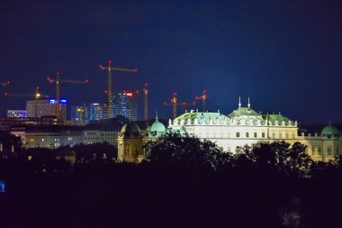 Gece Viyana'da çatılar