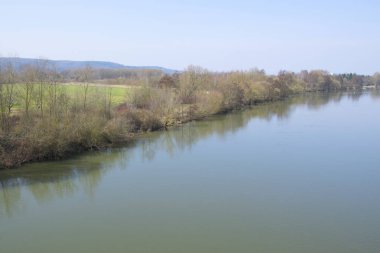 Bush nehre ana yansıma