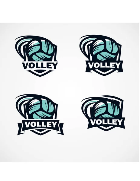 Volleyball Abzeichen Logo Vektor Set Von — Stockvektor