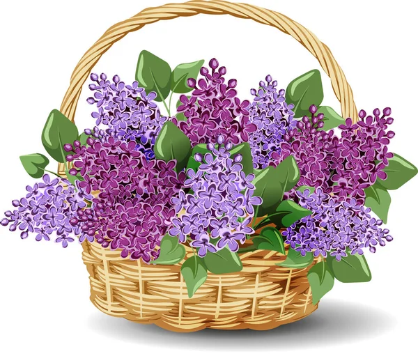 bouquet of wild flowers in basket isolated on white