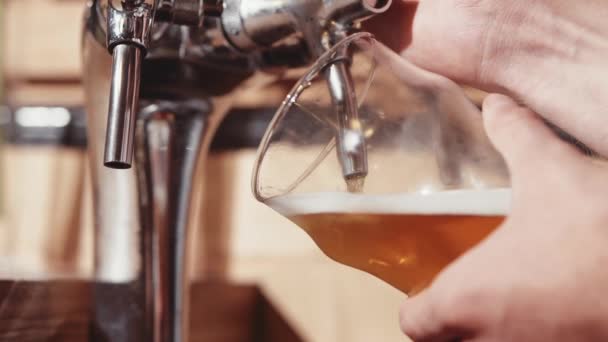 Barkeeper Hände beim Reinigen eines Glasbarmanns an der Bar — Stockvideo