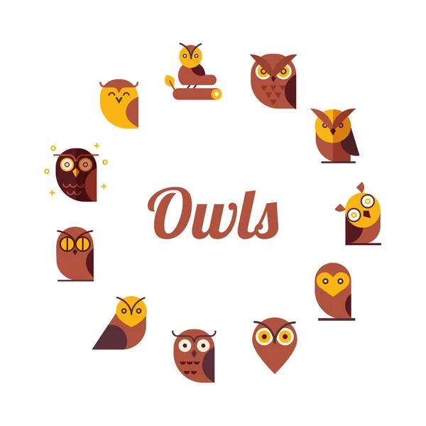 Vector Frame Owls Icon Cartoon Style Flat Vector Illustration — Stock Vector