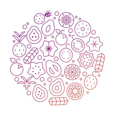 Renkli tropikal vektör yuvarlak ile egzotik bitki ve meyve.