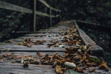Eski tahta köprüde sonbahar yaprakları