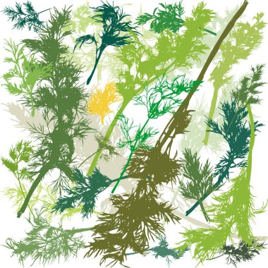 Yeşil Dill Bitkisi Grubu düz stil