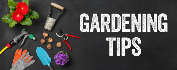 Outils de jardin sur un fond sombre - Conseils de jardinage — Photo