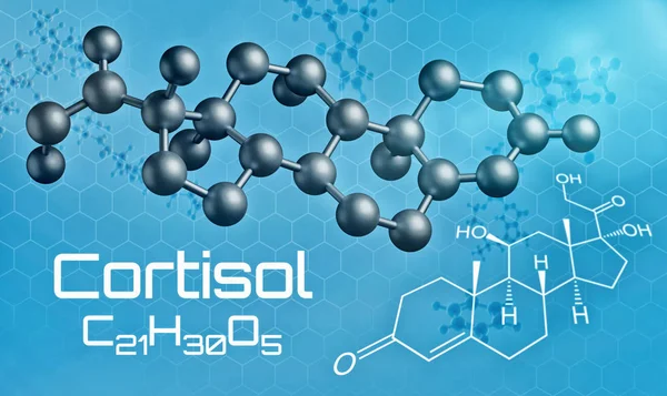 Modelul molecular tridimensional al cortizolului - redare 3D — Fotografie, imagine de stoc