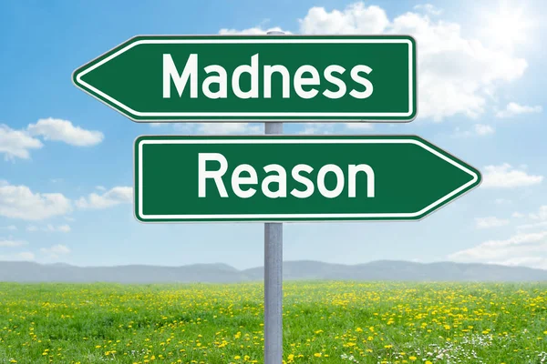 Two green direction signs - Madness or Reason — Stock Photo, Image