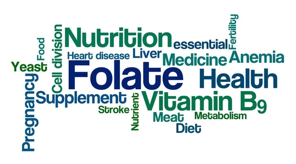 Nube de palabras sobre un fondo blanco - Folate — Foto de Stock