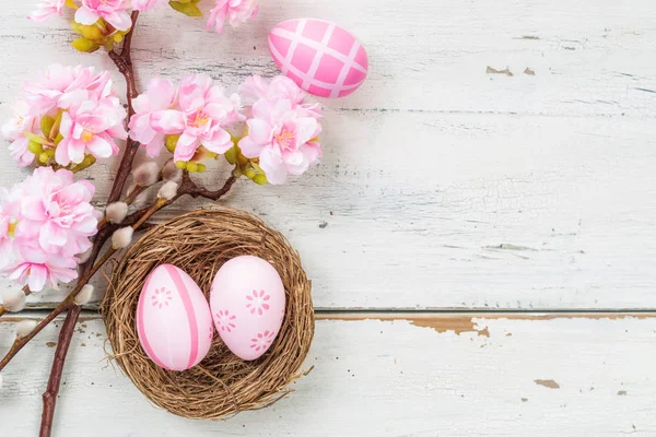 Oeufs de Pâques roses avec une fleur de cerisier — Photo