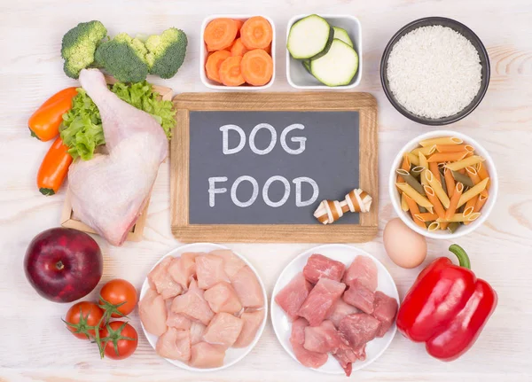 Υγιεινή Διατροφή Για Σκυλιά — Φωτογραφία Αρχείου