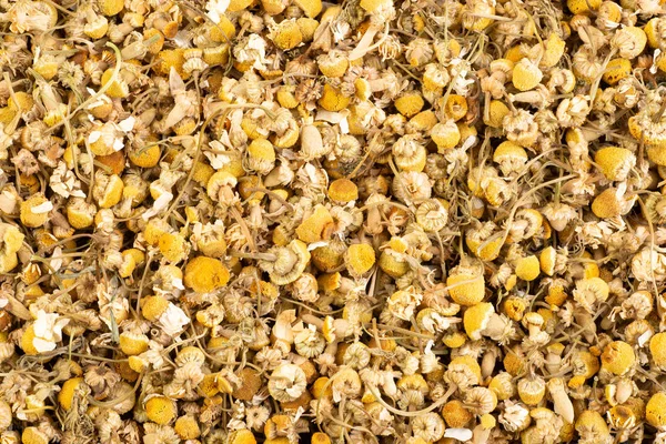 Dried Chamomiles Healthy Herbal Tea Background — 스톡 사진