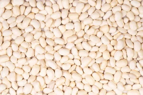 Dry Raw White Beans Top View — Stock Photo, Image