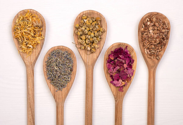 Dry healthy herbs on wooden spoons, top view on a white table