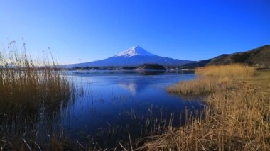 Mt. Fuji Gölü Kawaguchi Oishi Park'a mavi gökyüzünde geniş açı 02/08/2018