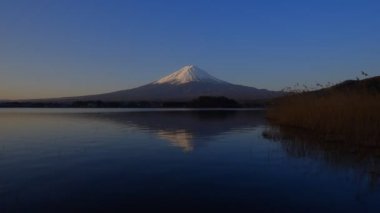 Kawaguchiko Oishi Park Mt.Fuji Japonya 04/08/2018