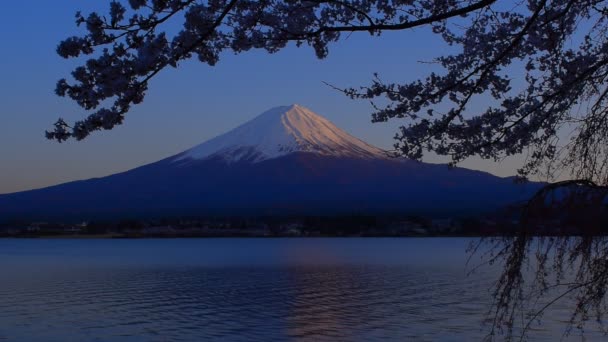 Fuji Cerezo Del Sol Poniente Desde Costa Norte Del Lago — Vídeos de Stock