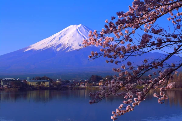 Flores Cerezo Monte Fuji Con Cielo Azul Ubuyagasaki Lake Kawaguchi — Foto de Stock