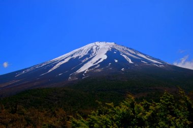 Mt. Fuji 5 üzerinden 