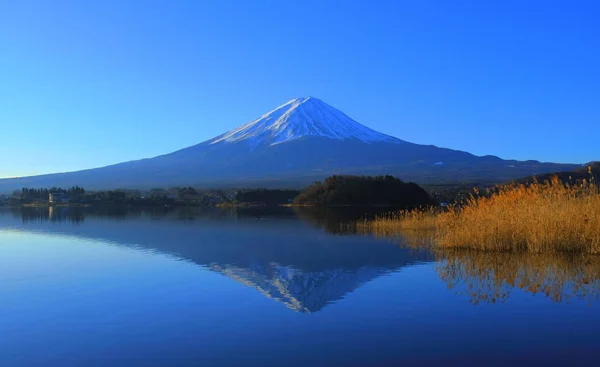 Fuji Clear Blue Sky Oishi Park Lake Kawaguchi Yamanashi Prefecture — Stock Photo, Image