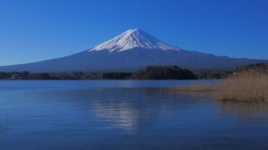 Mt. Fuji of Blue sky from Oishi Park in Lake Kawaguchi 03/06/2020 4k mp4