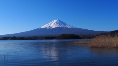Mt. Fuji of Blue sky from Oishi Park in Lake Kawaguchi 03/06/2020 4k.mov