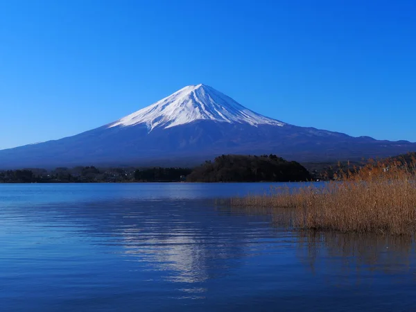 Fuji Del Cielo Azul Desde Oishi Park Lago Kawaguchi 2020 —  Fotos de Stock