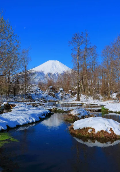 Loach Pond Dojo Ike Snowfall Oshino Village Fuji Yamanashi Japón — Foto de Stock