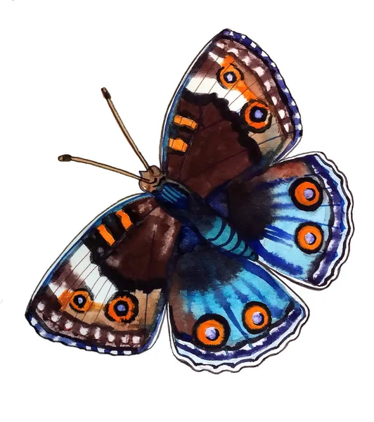 Aquarell Illustration Von Niedlichen Schönen Lebendigen Bunten Schmetterling Mit Braun — Stockfoto