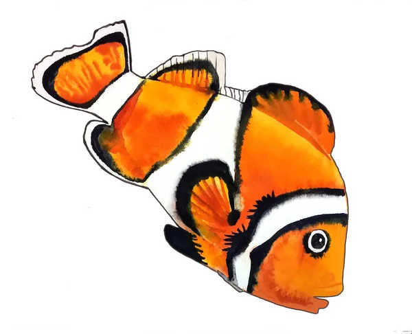 Poisson Clown Orange Blanc Rayures Flotte Diagonale Vers Droite Peinture — Photo