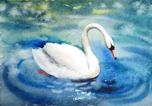 Красивая Птица Белая Лебедь Изящно Плавает Озере Акварелью Иллюстрации — стоковое фото