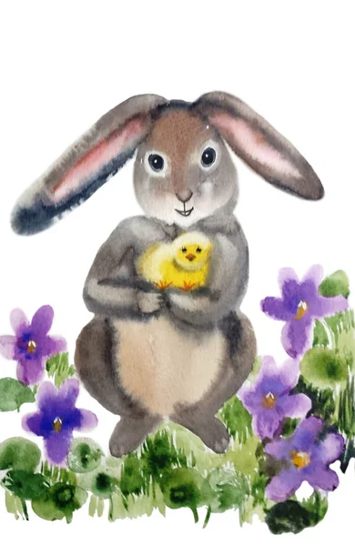 Пушистый Серый Кролик Цыпочкой Стоит Задних Лапах Среди Фиолетовых Фиалки — стоковое фото