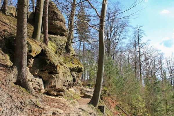 Kilátás Nyílik Táj Napnyugtakor Nemzeti Park Bohemian Switzerland Csehország — Stock Fotó