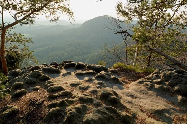 Veduta Del Paesaggio Tramonto Nel Parco Nazionale Della Svizzera Boema — Foto Stock