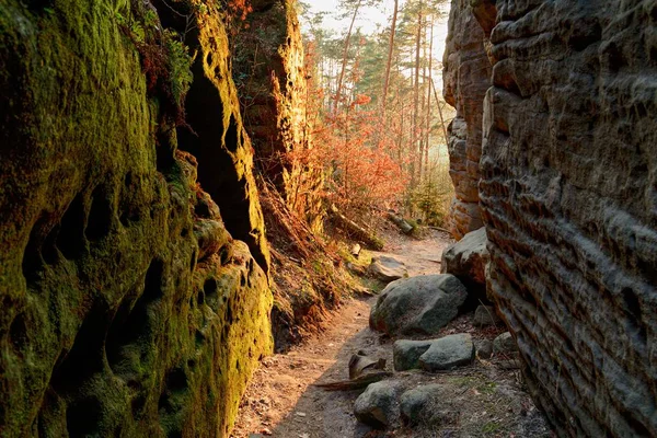 Kilátás Nyílik Táj Napnyugtakor Nemzeti Park Bohemian Switzerland Csehország — Stock Fotó