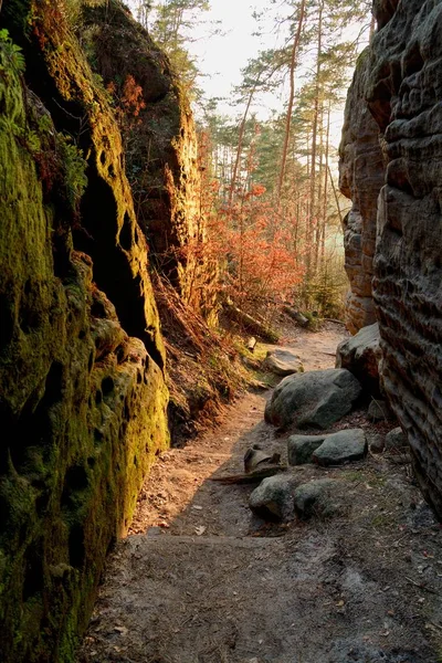 Kilátás Nyílik Táj Napnyugtakor Nemzeti Park Bohemian Switzerland Csehország — Stock Fotó
