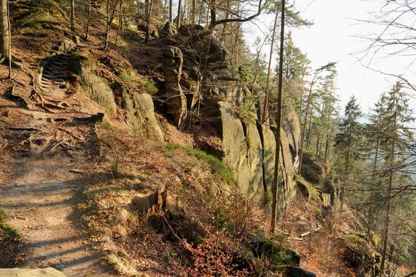 Kilátás Nyílik Táj Napnyugtakor Nemzeti Park Bohemian Switzerland Csehország — Stock Fotó