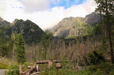 Slovakya yüksek Tatras görünümünü