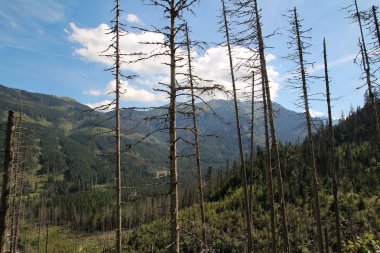 Slovakya yüksek Tatras görünümünü